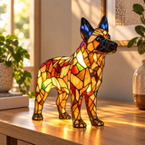 Illuminating Protector