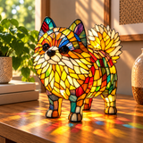 Vibrant Pomeranian