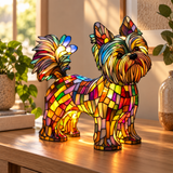 Radiant Yorkshire Terrier