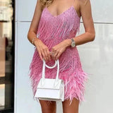 Samba | Elegance in Motion